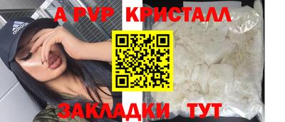гидра Можга