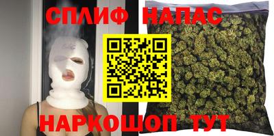 гидра Можга