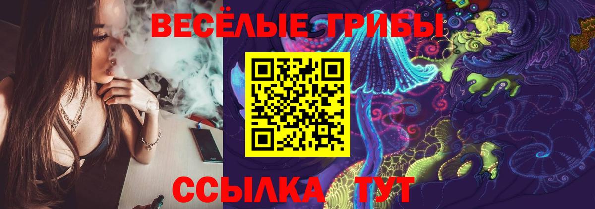 Псилоцибиновые грибы GOLDEN TEACHER Щёлково